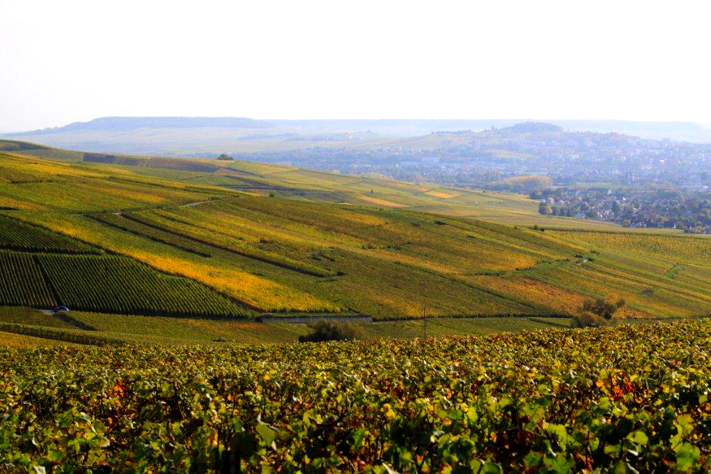 Commune de Champillon